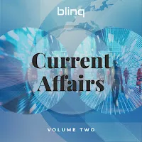 Blinq — Democracy At Risk — обложка